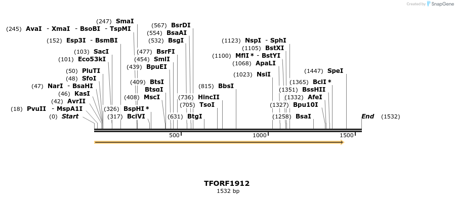 277795_map