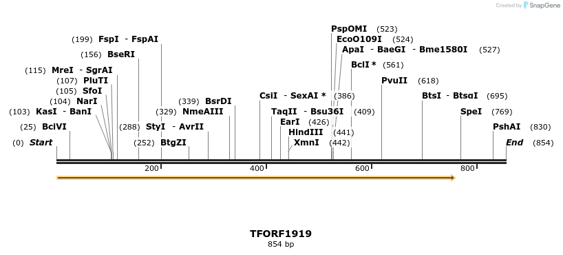 277798_map