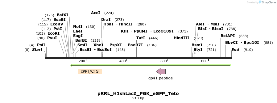 27780_map