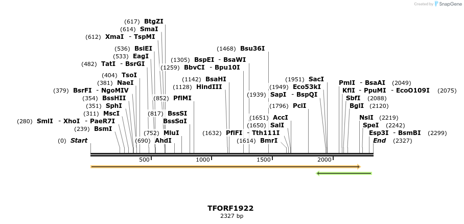 277801_map