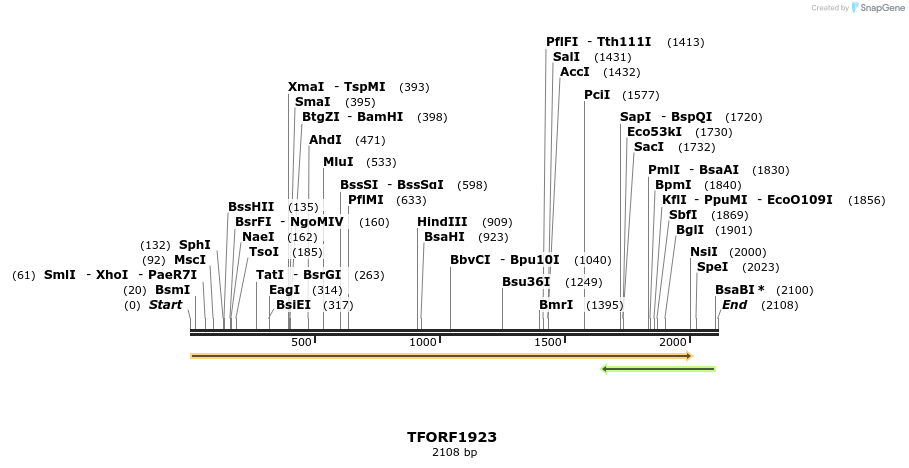 277804_map