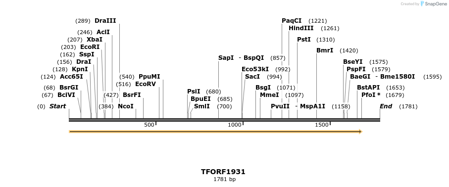 277807_map