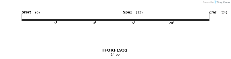 277808_map
