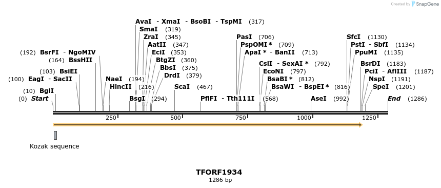277810_map