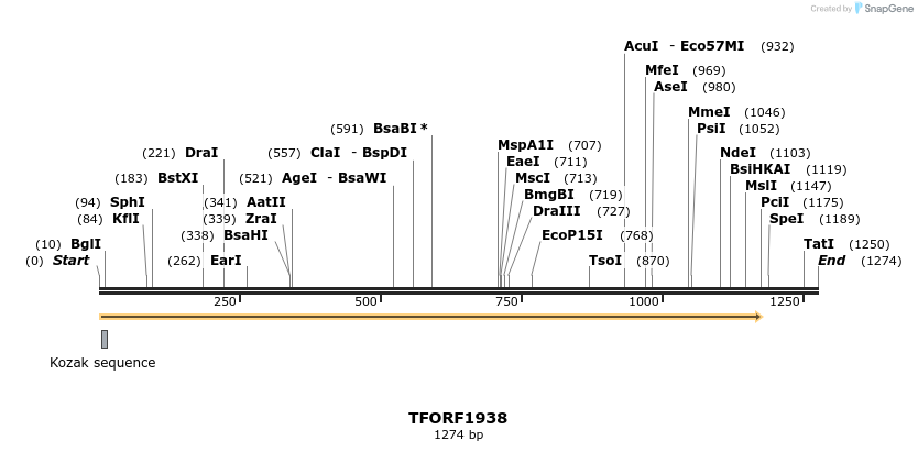 277813_map