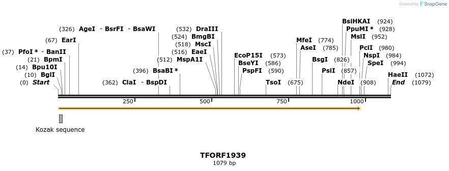 277816_map