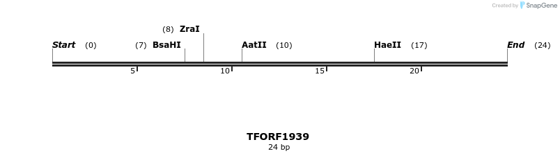 277817_map