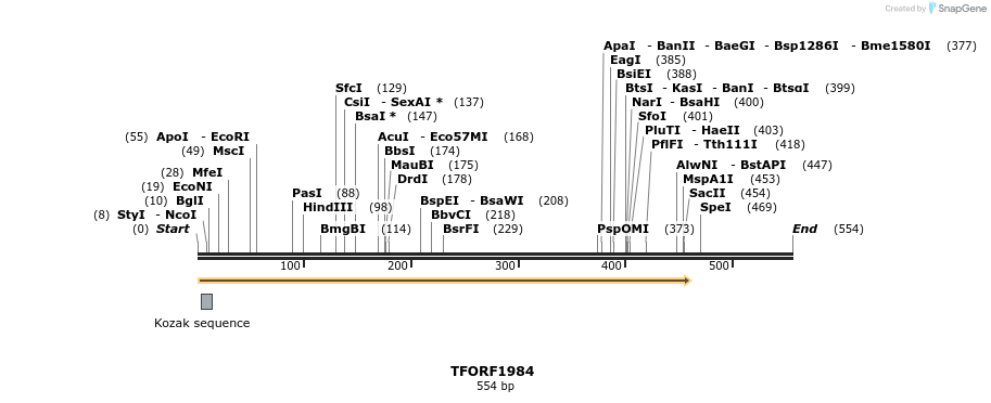 277819_map