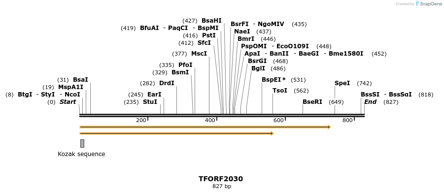 277822_map