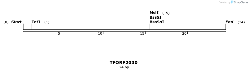 277823_map