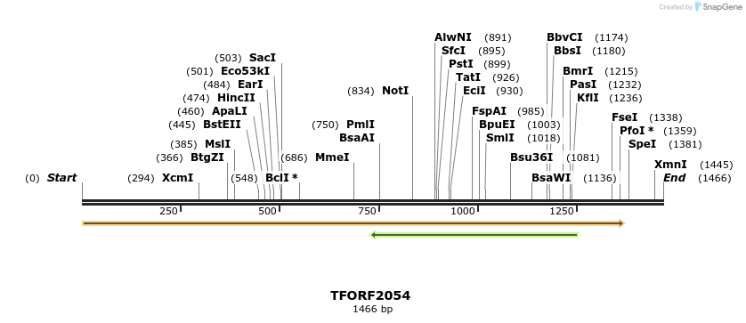 277825_map