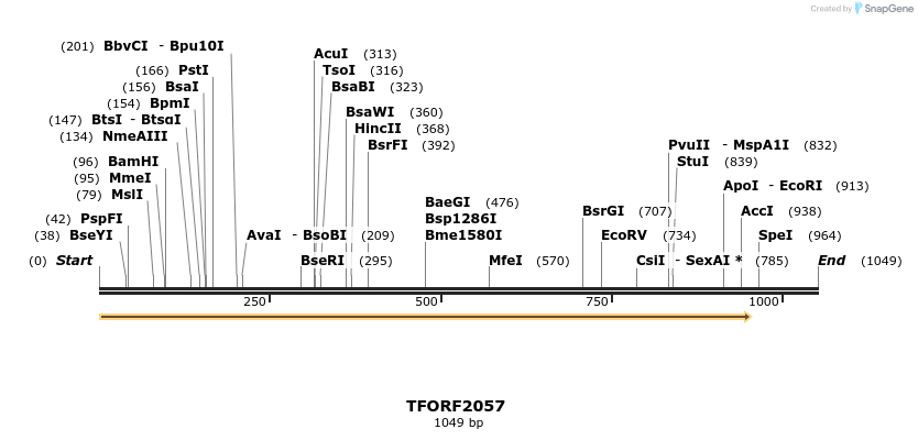 277828_map
