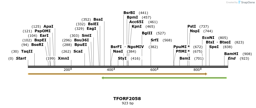 277831_map