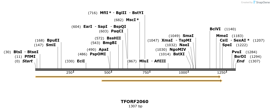 277834_map