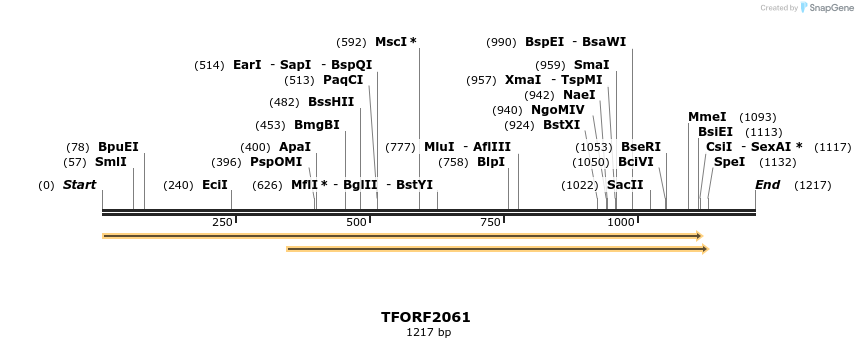 277837_map