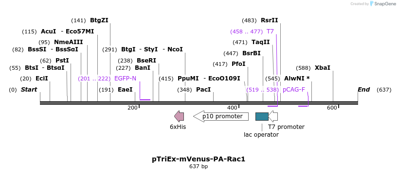 27784_map
