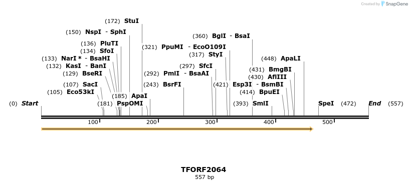 277840_map