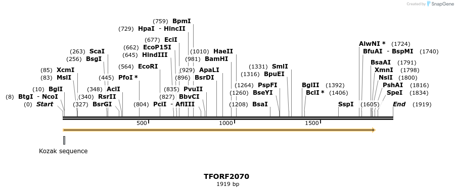 277846_map