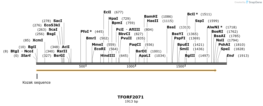 277849_map