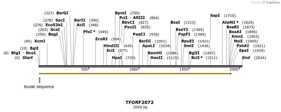 277852_map