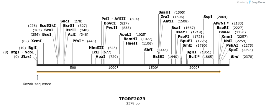 277855_map