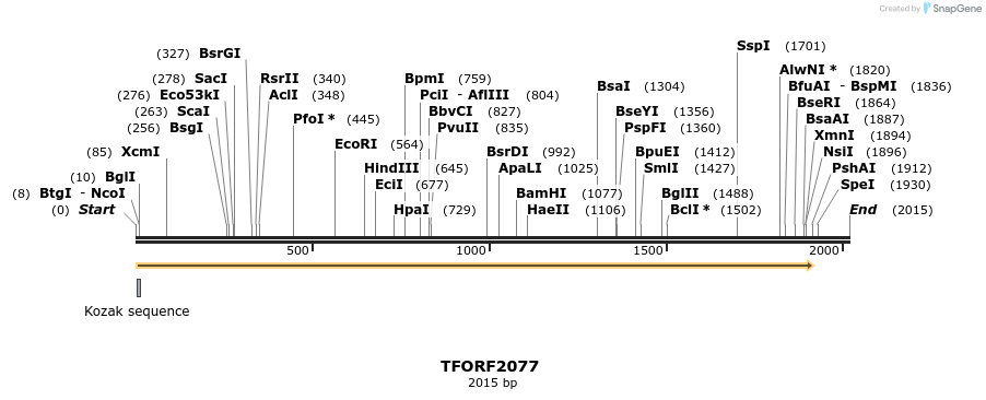 277864_map