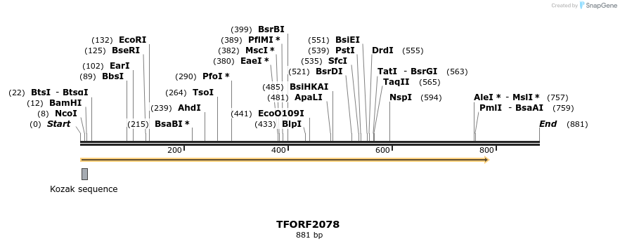 277867_map