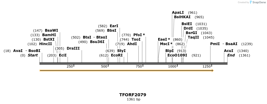 277870_map