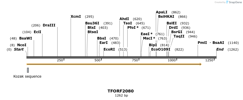 277873_map