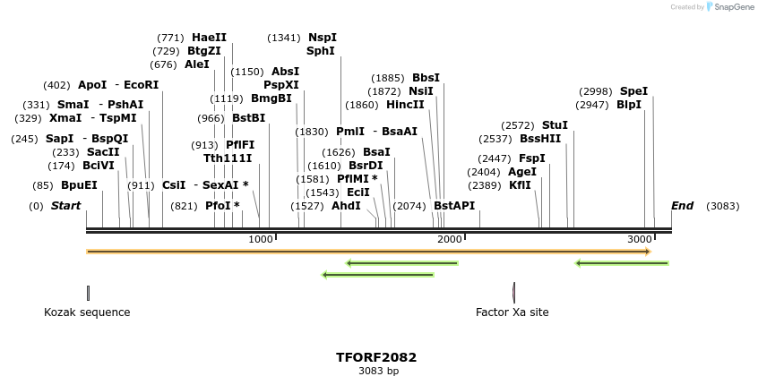277876_map