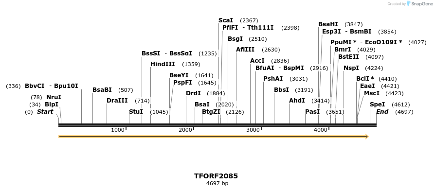 277879_map