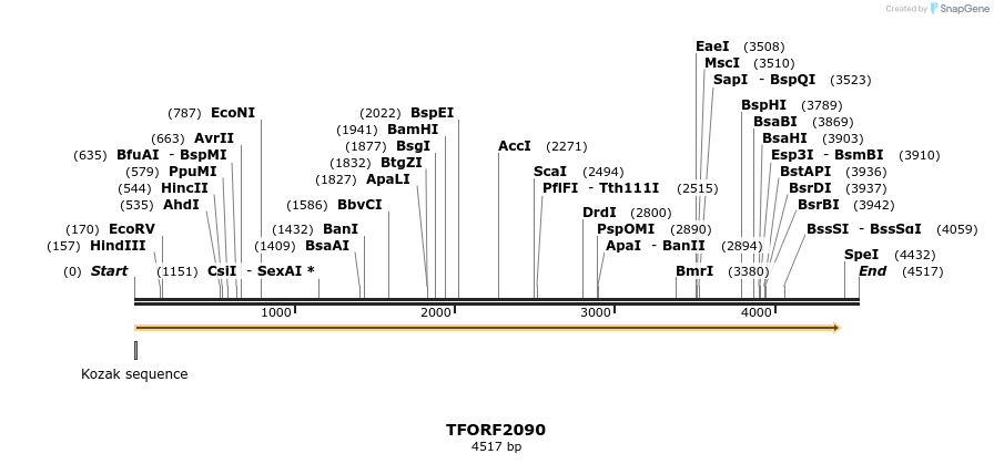 277885_map