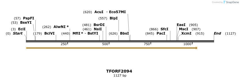 277888_map