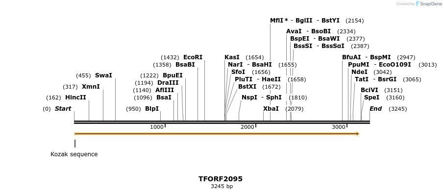 277891_map