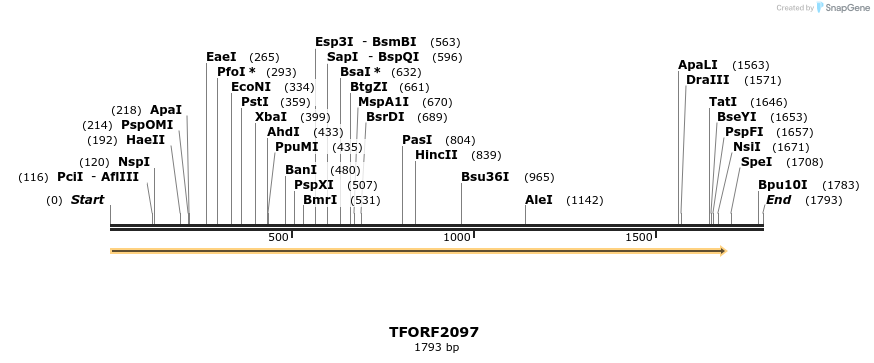 277897_map