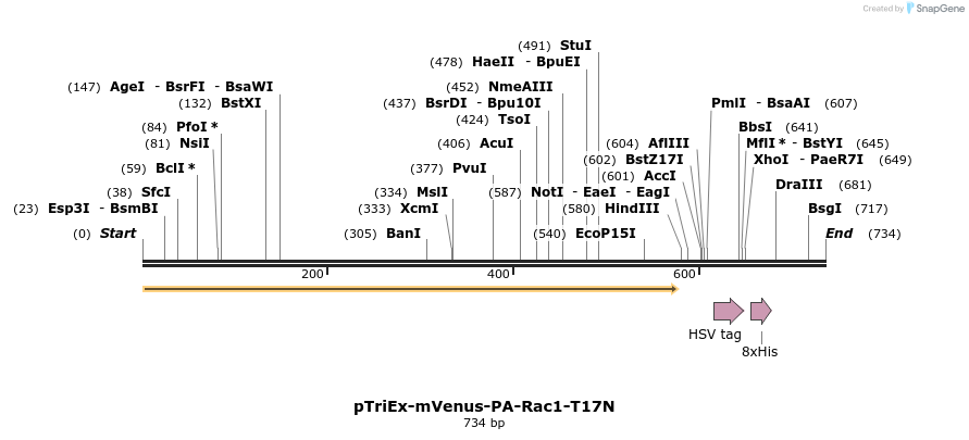 27790_map