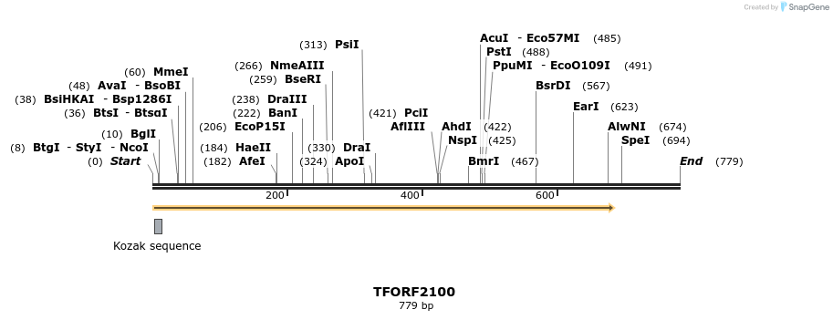 277903_map