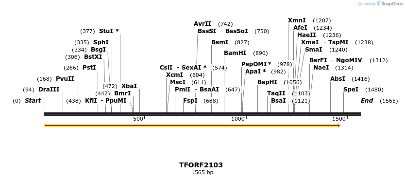 277909_map