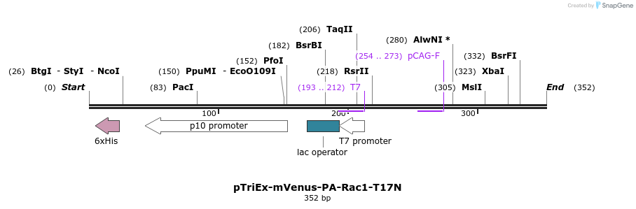 27791_map