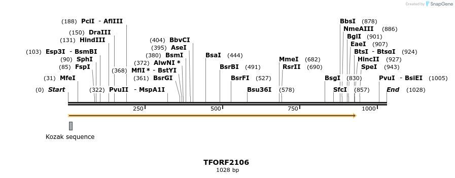 277912_map