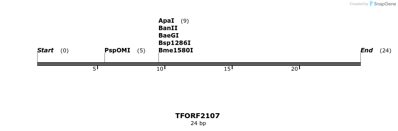 277916_map
