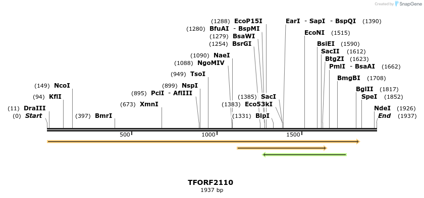 277918_map