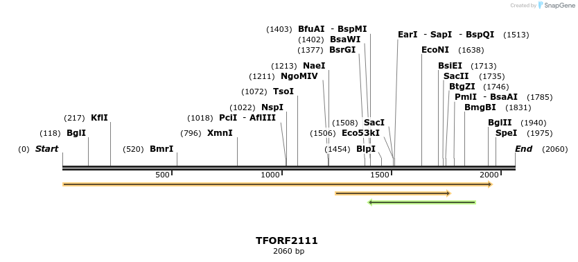 277921_map