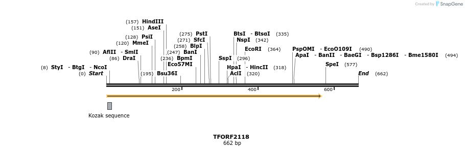 277924_map