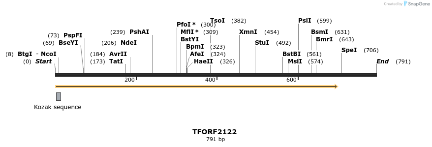 277933_map