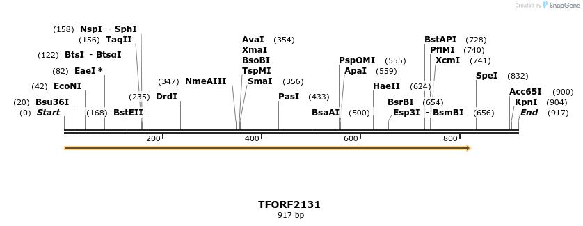 277939_map