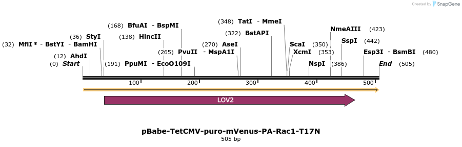 27794_map