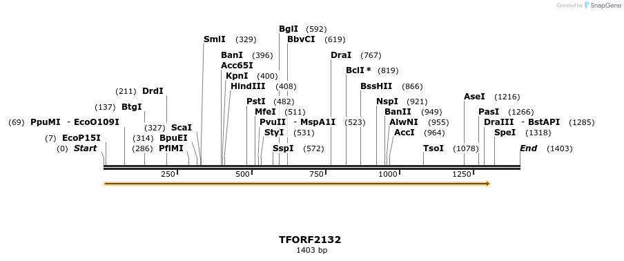277942_map
