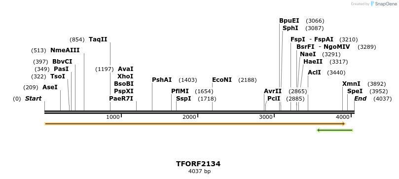 277945_map