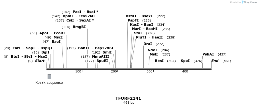 277951_map